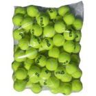 Tennisballlen Tecnifibre XLD/ polybag 72 stuks